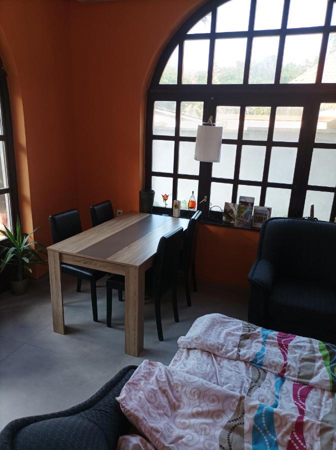 Nemeth Apartman Palic Exterior photo